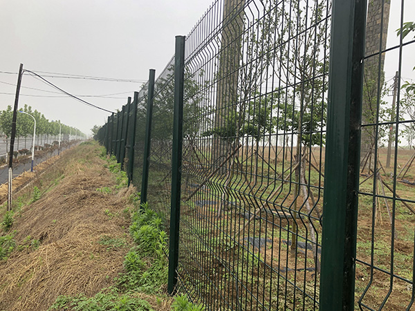 綠化帶防護網案例展示