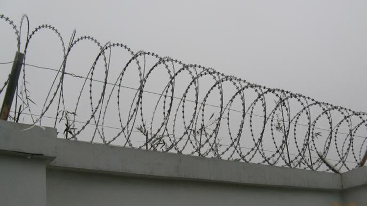 籬笆型刀片刺網18631858321 籬笆型刀片刺網18631858321