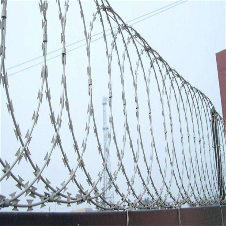 鍍鋅刀片刺繩刺網應用比較廣泛圖片4 鍍鋅刀片刺繩刺網應用比較廣泛圖片4