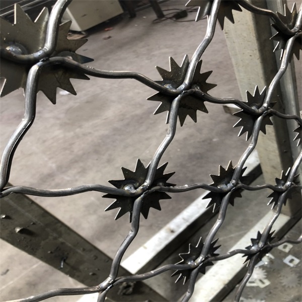 梅花刺鋼網(wǎng)墻圖片2 梅花刺鋼網(wǎng)墻圖片2