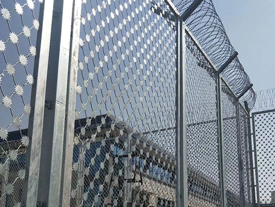 梅花刺隔離網刺片圖片3